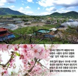 [新 강원기행](143) 춘천시 동내면 사암2리 수레마을