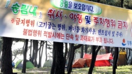 [포토뉴스]“해변 솔밭은 야영 금지구역입니다”