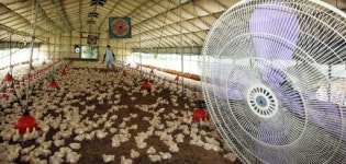 [포토뉴스]덥다 더워~