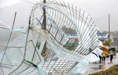 [포토뉴스]태풍에 통째로 뽑힌 비닐하우스