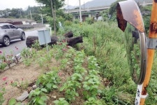 [포토뉴스]반사경 무용지물