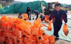 [포토뉴스]염화칼슘 준비