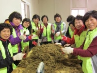직접 수확 체험한 더덕 현장에서 구매