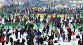 산천어축제 첫 주말 23만여명 `초만원