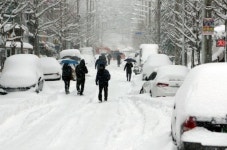 동해안 최고 68㎝ 폭설 마을 고립·교통사고 속출