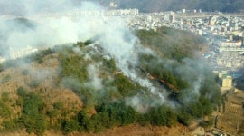 춘천·홍천서 산불 잇따라