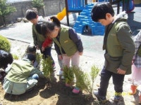 [포토뉴스]태사랑유치원 나무심기