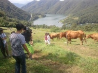 [춘천]“동물과 교감하고 숲 거닐며 힐링하세요”