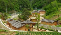 [삼척]관광지도 확 바뀐다