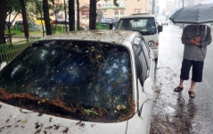 [포토뉴스]방치된 차량 주민 불편