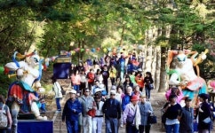 15만명 구름인파 산사축제서 힐링