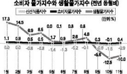 [리뷰 2013 강원경제]공공요금·식품값 일제히 인상