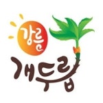 [강릉]강릉 개두릅 전국 소비자 입맛 잡는다