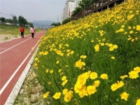 [원주]“이사오길 잘했어요”