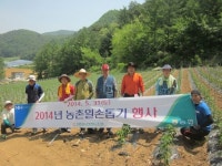 [평창]평창농협 임직원 농촌일손돕기 나서