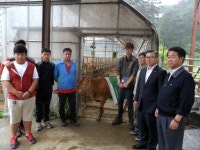 [양양]양양군농업기술센터 암소 릴레이 기증