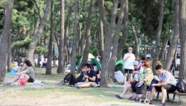 [포토뉴스]이곳은 야영장이 아닙니다