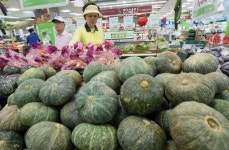 [포토뉴스]영양 만점 단호박 나왔어요