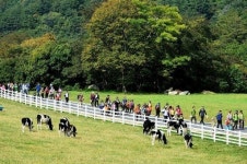 [평창 / 산소길 걷기 대행진]40년만에 열린 명품길 넋놓고 감탄