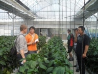 [강릉]농수산물 생산부터 수출까지 맞춤 지원