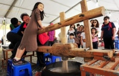 [춘천]닭갈비막국수 축제 시민·관광객 50만명 즐겼다