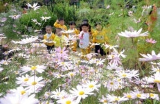 [포토뉴스]동심 유혹하는 가을