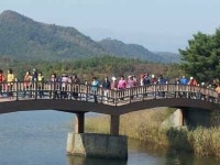 [고성]환상의 송지호 한바퀴 연신 감탄