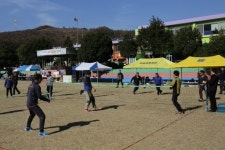 [포토뉴스]개교 80주년 기념 미로초교 총동문 한마음대회