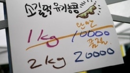 이효리, 유기농 콩 판매 논란…네티즌이 신고했다?