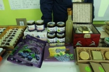 [도농상생프로젝트 농촌이 희망]건강에 좋은 산채·버섯