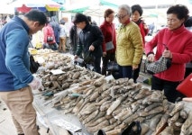 [포토뉴스]“아삭아삭 연근 맛 보세요”
