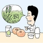 [생물이야기]밥부터 된장·차·빵까지… 쓰임새 많은 보리 <974>
