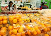 [포토뉴스]새콤달콤한 하우스 감귤