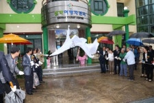 이런 게스트하우스 보셨나요 설악동 침체 탈출 옛명성 찾는다