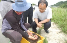 [횡성]피라니아 외부 확산 없었다