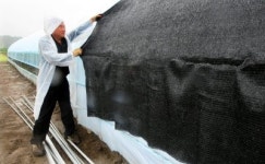 [포토뉴스]비닐하우스를 지켜라