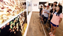 중복 더위에도 학생 직장인 몰리는 이 곳은?