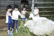 [고성]농촌서 만드는 여름방학의 추억