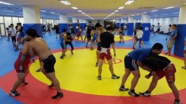 [스포츠가 지역 경쟁력이다]여름 겨울 레슬링·육상·스키선수 북적