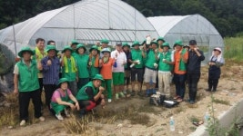 [양구]“저소득층 이웃에 전할 김장 배추 직접 키워”