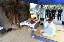 [포토뉴스]1,200살 은행나무 동제