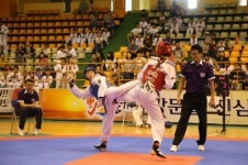 [포토뉴스]동해무릉기 강원학생 태권도대회