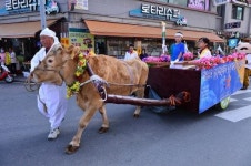 [포토뉴스]소달구지 타고 성화봉송