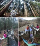 [특집]사라질 뻔한 산골마을 살려낸 `숲의 기적