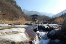 [신문으로 공부합시다]선비들이 벼슬 버리고 심산유곡 숨어든 까닭은?