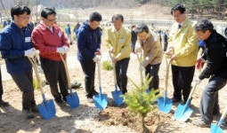 황교안 총리 “나무를 심는 것은 꿈과 희망을 심는 것”