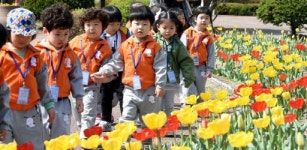 [포토뉴스]포근한 날씨 활짝 핀 튤립