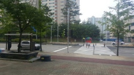 [춘천]무단횡단 속출하던 순환로 횡단보도 설치