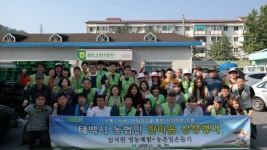 [포토뉴스]태백농협 농촌일손돕기