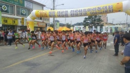 [포토뉴스]대관령 전국하프마라톤 대회
